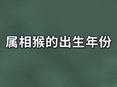 属相猴的出生年份,属猴出生在哪一年