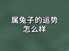 属兔子的运势怎么样:擅长社交(人脉广泛)