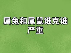 属兔和属鼠谁克谁严重,属兔和属鼠相克会死人吗