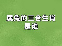 属兔的三合生肖是谁:生肖猪/生肖羊/生肖狗