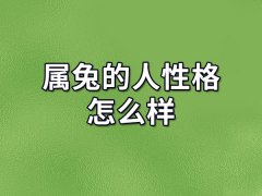 属兔的人性格怎么样:性情温和(善于交际)