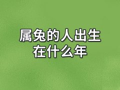 属兔的人出生在什么年,属兔人出生在哪一年