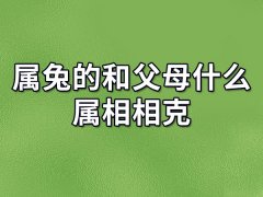 属兔的和父母什么属相相