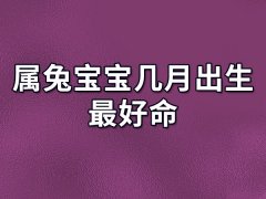 属兔宝宝几月出生最好命:三月份/四月份/五月份