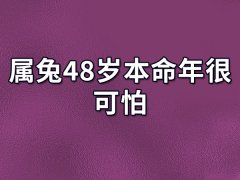 属兔48岁本命年很可怕:工作变化(被新人超越)