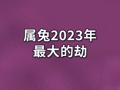 属兔2023年最大的劫：事业受阻(感情背叛)