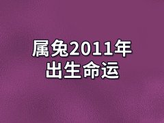 属兔2011年出生命运:事业顺遂(贵人帮助)