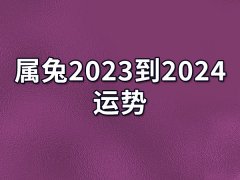 属兔2023到2024运势:事业运变好(遭小人陷害)