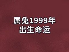 属兔1999年出生命运:一生运势平稳(对待他人大方)