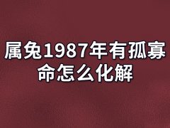 属兔1987年有孤寡命怎么化解:注重社交活动(学会交际技巧)