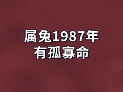 属兔1987年有孤寡命,87属兔有孤寡命吗