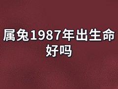 属兔1987年出生命好吗:富贵命(有能力有野心)