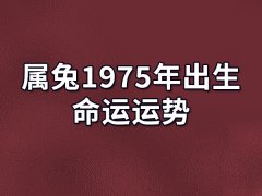 属兔1975年出生命运运势:事业发展顺利（有贵人相助）