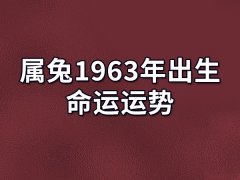 属兔1963年出生命运运势:一生不缺钱财(命带福星)