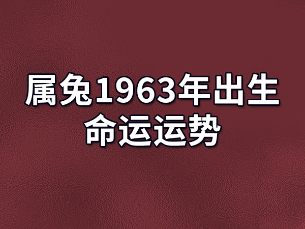 属兔1963年出生命运运势