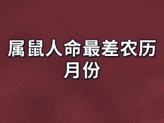 属鼠人命最差农历月份:四