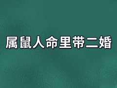 属鼠人命里带二婚:对待感