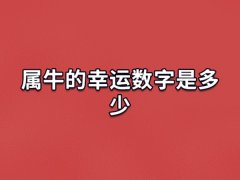 属牛的幸运数字是多少:数