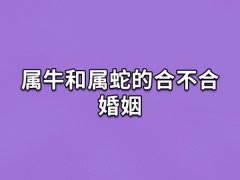 属牛和属蛇的合不合婚姻