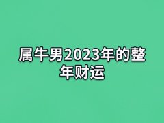 属牛男2023年的整年财运