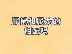 属鼠和属龙的相配吗:三合