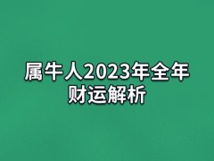 属牛人2023年全年财运解析