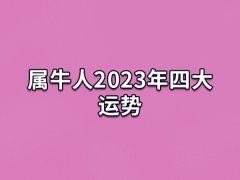 属牛人2023年四大运势,生肖