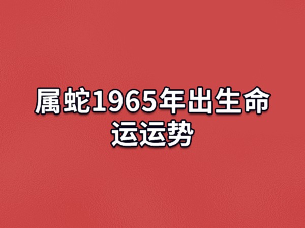 1965年属什么图片