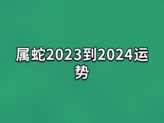 属蛇2023到2024运势:工作稳