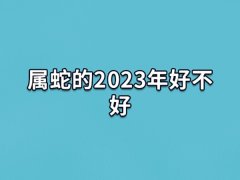 属蛇的2023年好不好:收益不