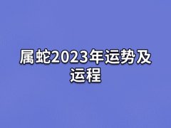 属蛇2023年运势及运程:财运