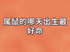 属鼠的哪天出生最好命:农