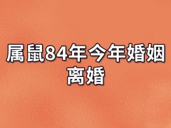 属鼠84年今年婚姻离婚,8