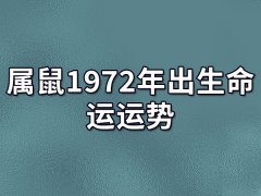 属鼠1972年出生命运运势