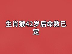 生肖猴42岁后命数已定,属