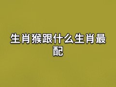 生肖猴跟什么生肖最配:生肖鼠/生肖龙/生肖蛇