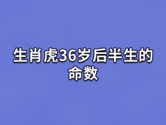 生肖虎36岁后半生的命数