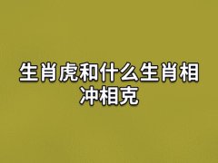 生肖虎和什么生肖相冲相