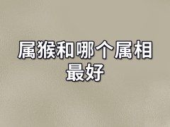 属猴和哪个属相最好:属鼠