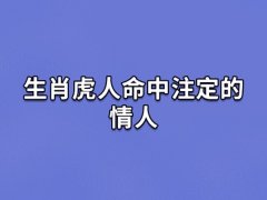 生肖虎人命中注定的情人