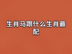 生肖马跟什么生肖最配:生