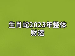 生肖蛇2023年整体财运:财运