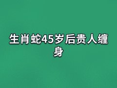 生肖蛇45岁后贵人缠身:贵