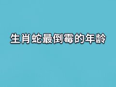 生肖蛇最倒霉的年龄:12岁