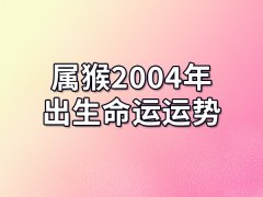 属猴2004年出生命运运势