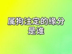 属狗注定的缘分是谁:生肖