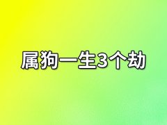 属狗一生3个劫:事业受阻