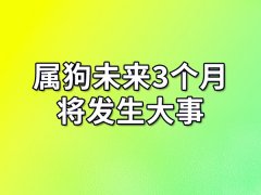 属狗未来3个月将发生大事