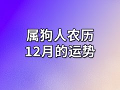 属狗人农历12月的运势:努