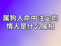 属狗人命中注定的情人是